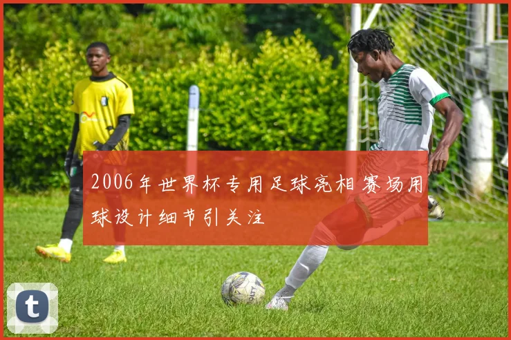 2006年世界杯专用足球亮相 赛场用球设计细节引关注