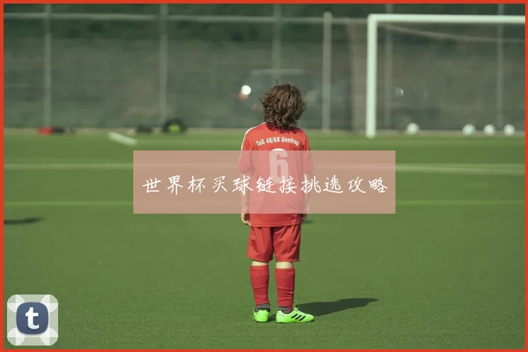 世界杯买球链接挑选攻略